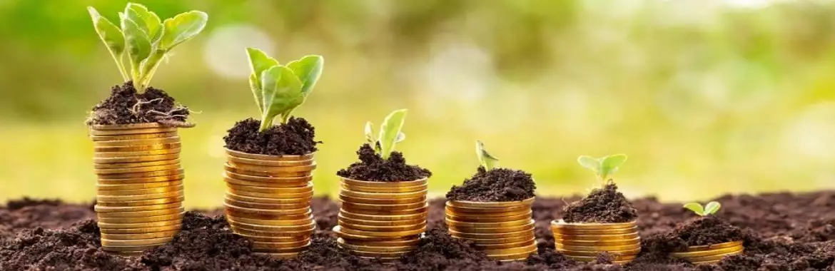 سرمایه گذاری در سوئیس سرمایه گذاری در سوئیس